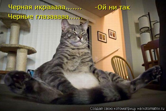 Черная икрааааа....... -Ой ни так Черные глазааааа......... Котоматрица: Черная икрааааа....... -Ой ни так Черные глазааааа......