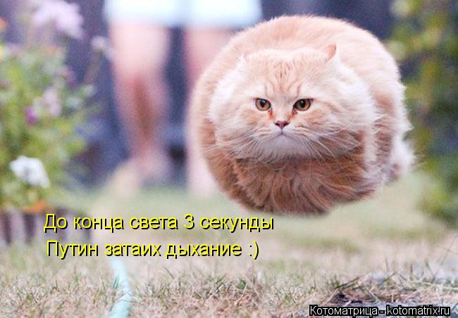 До конца света 3 секунды До конца света 3 секунды Путин затаих дыхание :)... Котоматрица: До конца света 3 секунды До конца света 3 секунды Путин затаих дыхание :)