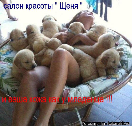 салон красоты " Щеня " и ваша кожа как у младенца !!!... Котоматрица: салон красоты " Щеня " и ваша кожа как у младенца !!!