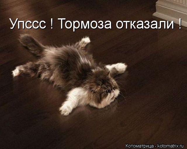 Упссс ! Тормоза отказали !... Котоматрица: Упссс ! Тормоза отказали !