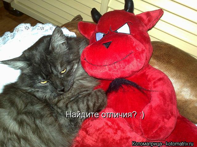 Найдите отличия? :)... Котоматрица: Найдите отличия? :)