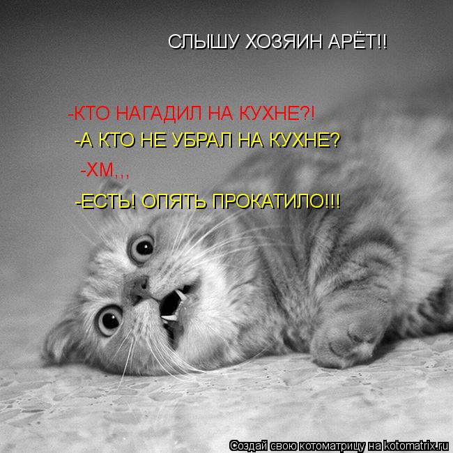 СЛЫШУ ХОЗЯИН АРЁТ!! -КТО НАГАДИЛ НА КУХНЕ?! -А КТО НЕ УБРАЛ НА КУХНЕ? -ХМ,,, -ЕСТЬ! ОПЯТЬ ПРОКАТИЛО... Котоматрица: СЛЫШУ ХОЗЯИН АРЁТ!! -КТО НАГАДИЛ НА КУХНЕ?! -А КТО НЕ УБРАЛ НА КУХНЕ? -ХМ,,, -ЕСТЬ! ОПЯТЬ ПРОКАТИЛО!!!