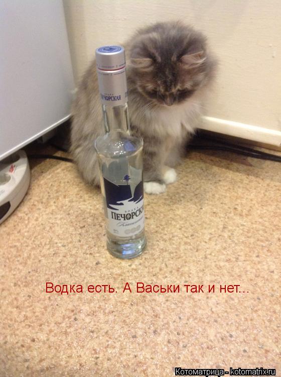 Водка есть. А Васьки так и нет...... Котоматрица: Водка есть. А Васьки так и нет...