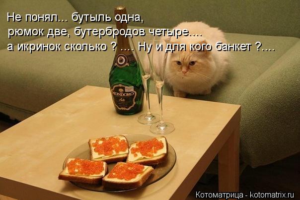 Не понял... бутыль одна, рюмок две, бутербродов четыре.... а икринок сколько ? .... Ну и для кого бан... Котоматрица: Не понял... бутыль одна, рюмок две, бутербродов четыре.... а икринок сколько ? .... Ну и для кого банкет ?....