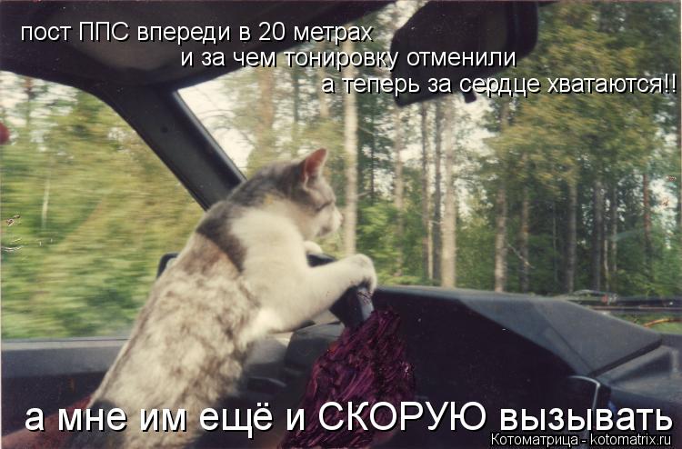 пост ППС впереди в 20 метрах и за чем тонировку отменили а теперь за сердце хватаются!! а мне им ещё ... Котоматрица: пост ППС впереди в 20 метрах и за чем тонировку отменили а теперь за сердце хватаются!! а мне им ещё и СКОРУЮ вызывать