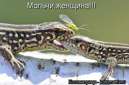 Мольчи,женщина!!!... Котоматрица: Мольчи,женщина!!!