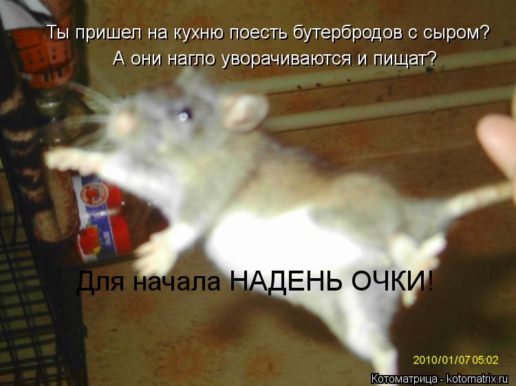 Ты пришел на кухню поесть бутербродов с сыром? А они нагло уворачиваются и пищат? Для начала НАДЕНЬ О... Котоматрица: Ты пришел на кухню поесть бутербродов с сыром? А они нагло уворачиваются и пищат? Для начала НАДЕНЬ ОЧКИ!