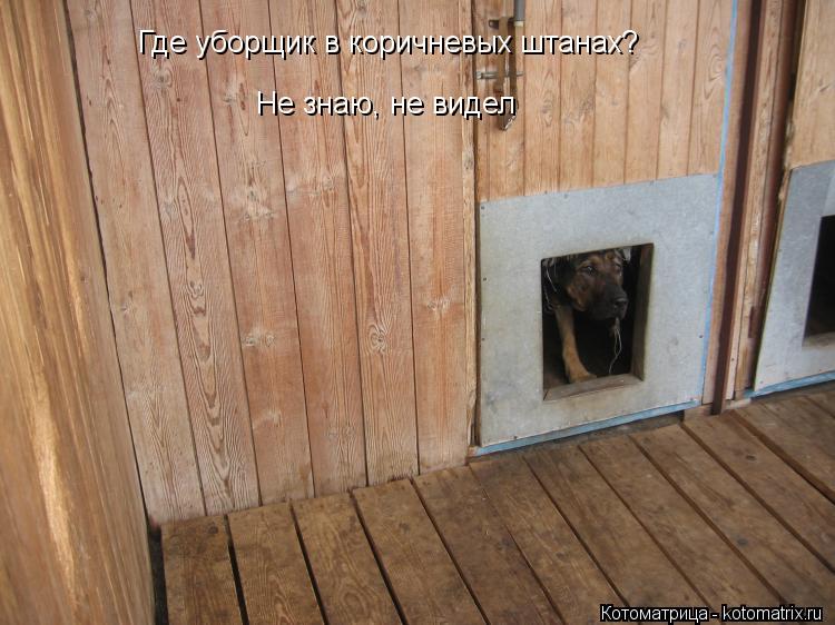 Где уборщик в коричневых штанах? Не знаю, не видел... Котоматрица: Где уборщик в коричневых штанах? Не знаю, не видел