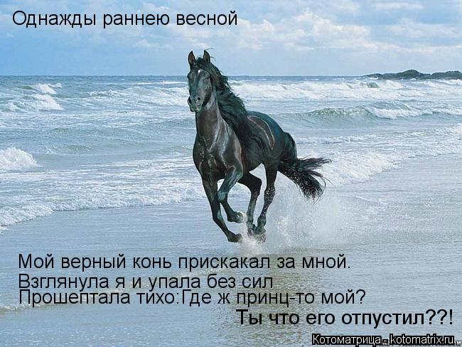Однажды раннею весной Мой верный конь прискакал за мной. Взглянула я и упала без сил Прошептала тихо:... Котоматрица: Однажды раннею весной Мой верный конь прискакал за мной. Взглянула я и упала без сил Прошептала тихо:Где ж принц-то мой? Ты что его отпустил??