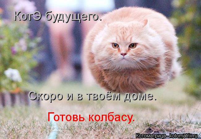 КотЭ будущего. Скоро и в твоём доме. Готовь колбасу.... Котоматрица: КотЭ будущего. Скоро и в твоём доме. Готовь колбасу.