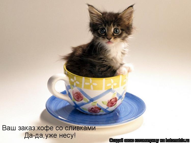 Ваш заказ:кофе со сливками Да-да,уже несу!... Котоматрица: Ваш заказ:кофе со сливками Да-да,уже несу!