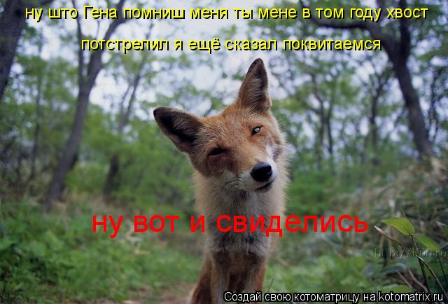 ну што Гена помниш меня ты мене в том году хвост потстрелил я ещё сказал поквитаемся ну вот и свидел... Котоматрица: ну што Гена помниш меня ты мене в том году хвост потстрелил я ещё сказал поквитаемся ну вот и свиделись