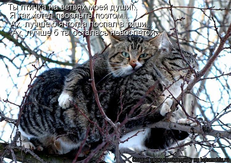 Ты птичка на ветвях моей души!.. Я так хотел прослыть поэтом... Ах, лучше б я тогда поспал в тиши... ... Котоматрица: Ты птичка на ветвях моей души!.. Я так хотел прослыть поэтом... Ах, лучше б я тогда поспал в тиши... Ах, лучше б ты осталась невоспетой...