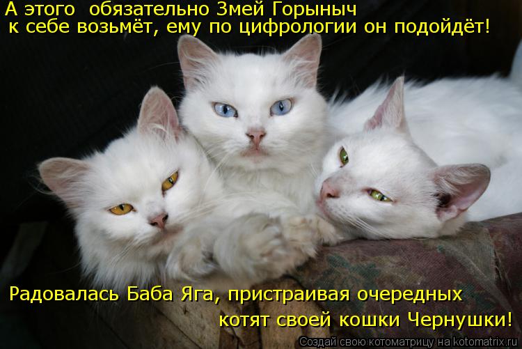 к себе возьмёт, ему по цифрологии он подойдёт! Радовалась Баба Яга, пристраивая очередных котят своей... Котоматрица: к себе возьмёт, ему по цифрологии он подойдёт! Радовалась Баба Яга, пристраивая очередных котят своей кошки Чернушки! А этого обязательно З