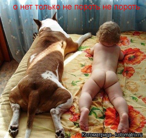 о нет только не пороть не пороть... Котоматрица: о нет только не пороть не пороть