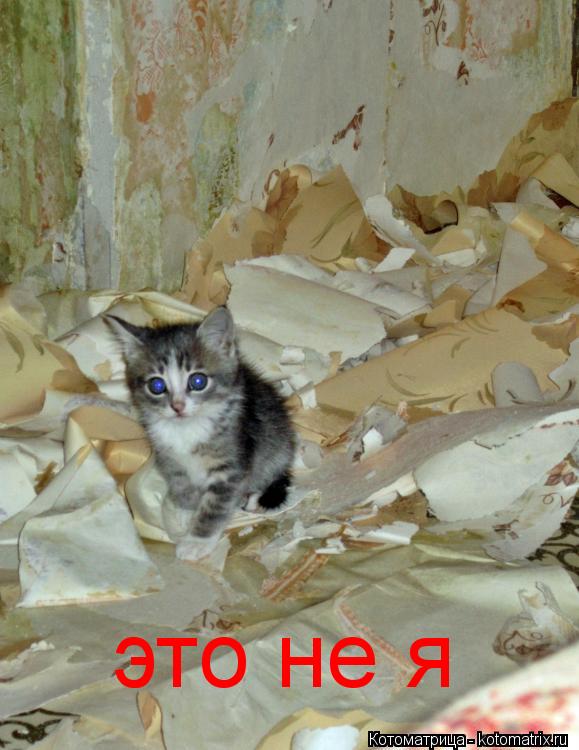 это не я... Котоматрица: это не я