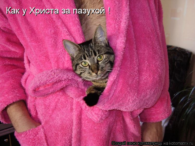 Котоматрица: Как у Христа за пазухой !