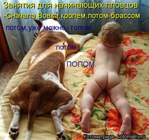 Занятия для начинающих пловцов -Сначала,Вовка,кролем,потом-брассом потом,уже можно,-топом, потом... П... Котоматрица: Занятия для начинающих пловцов -Сначала,Вовка,кролем,потом-брассом потом,уже можно,-топом, потом... ПОПОМ.