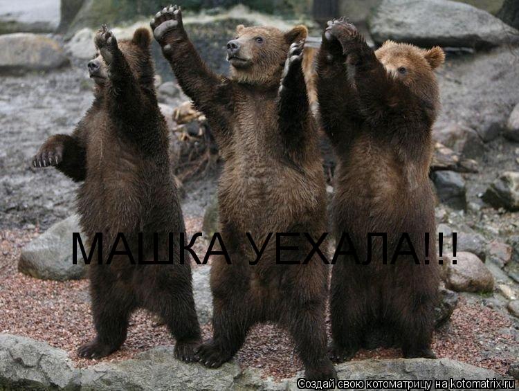 МАШКА УЕХАЛА!!!... Котоматрица: МАШКА УЕХАЛА!!!