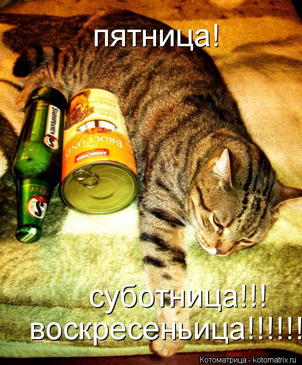 пятница! суботница!!! воскресеньица!!!!!!... Котоматрица: пятница! суботница!!! воскресеньица!!!!!!