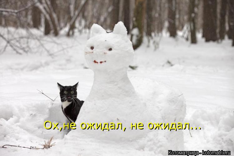 Ох,не ожидал, не ожидал...... Котоматрица: Ох,не ожидал, не ожидал...