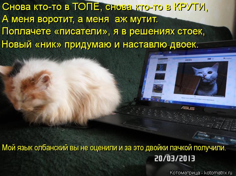 Снова кто-то в ТОПЕ, снова кто-то в КРУТИ, А меня воротит, а меня аж мутит. Поплачете «писатели», я ... Котоматрица: Снова кто-то в ТОПЕ, снова кто-то в КРУТИ, А меня воротит, а меня аж мутит. Поплачете «писатели», я в решениях стоек, Новый «ник» придумаю и на