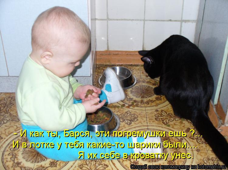 - И как ты, Барся, эти погремушки ешь ?... И в лотке у тебя какие-то шарики были.... Я их себе в кров... Котоматрица: - И как ты, Барся, эти погремушки ешь ?... И в лотке у тебя какие-то шарики были.... Я их себе в кроватку унес.