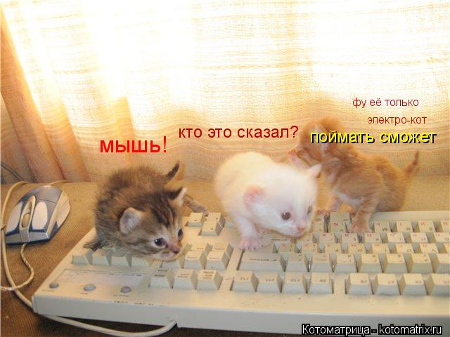 мышь! кто это сказал? фу её только электро-кот поймать сможет... Котоматрица: мышь! кто это сказал? фу её только электро-кот поймать сможет