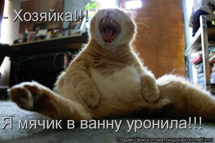 - Хозяйка!!! Я мячик в ванну уронила!!!... Котоматрица: - Хозяйка!!! Я мячик в ванну уронила!!!