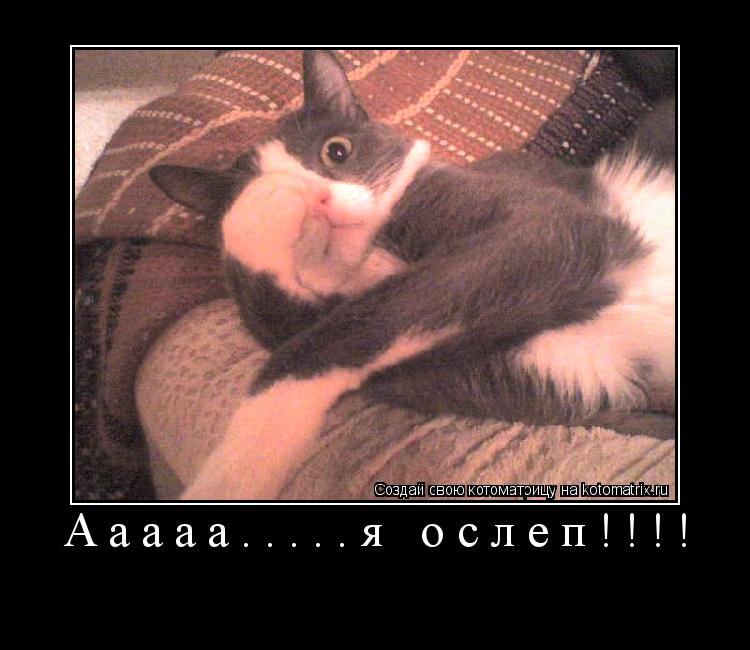 Ааааа.....я ослеп!!!! ... Котоматрица: Ааааа.....я ослеп!!!!
