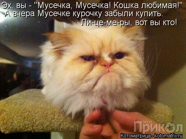 Эх, вы - "Мусечка, Мусечка! Кошка любимая!" А вчера Мусечке курочку забыли купить. Ли-це-ме-ры, вот в... Котоматрица: Эх, вы - "Мусечка, Мусечка! Кошка любимая!" А вчера Мусечке курочку забыли купить. Ли-це-ме-ры, вот вы кто!