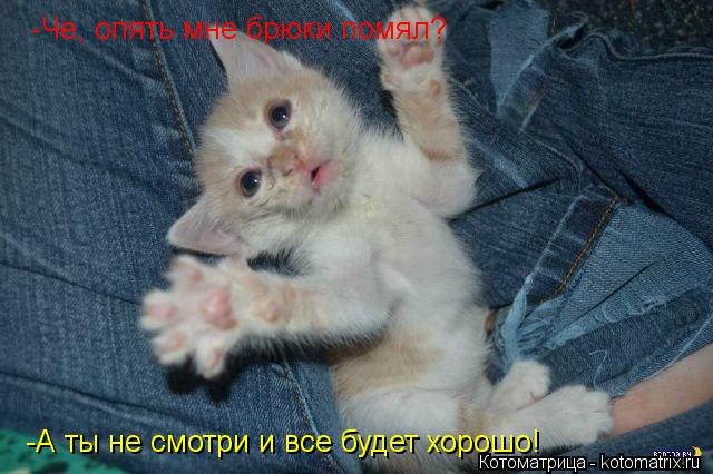 -Че, опять мне брюки помял? -А ты не смотри и все будет хорошо!... Котоматрица: -Че, опять мне брюки помял? -А ты не смотри и все будет хорошо!