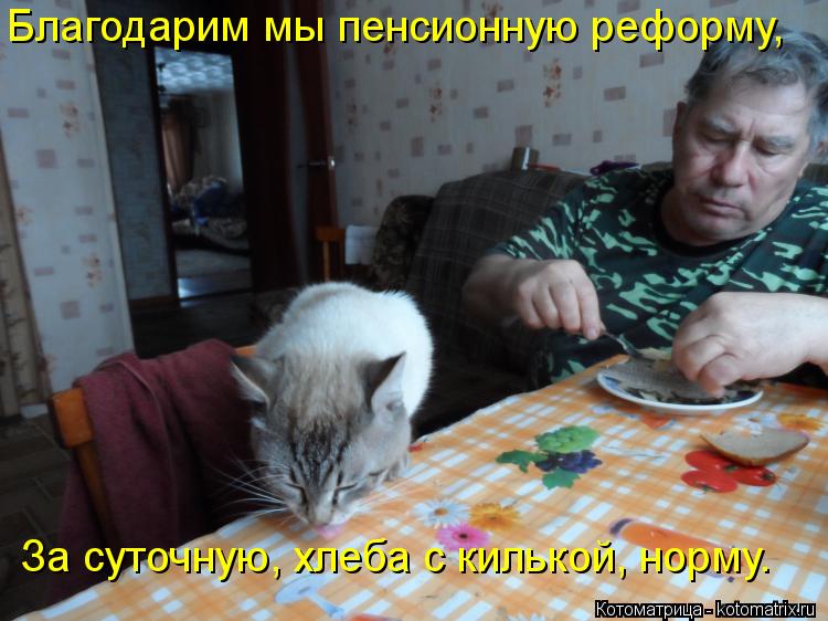 Благодарим мы пенсионную реформу, За суточную, хлеба с килькой, норму.... Котоматрица: Благодарим мы пенсионную реформу, За суточную, хлеба с килькой, норму.