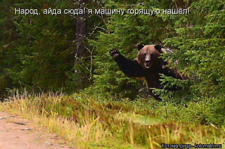 Народ, айда сюда! я машину горящую нашёл!... Котоматрица: Народ, айда сюда! я машину горящую нашёл!