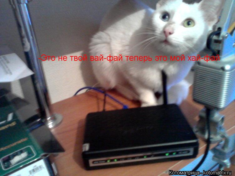 -Это не твой вай-фай теперь это мой хай-фай... Котоматрица: -Это не твой вай-фай теперь это мой хай-фай
