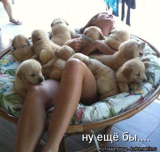 Котоматрица: ну ещё бы....