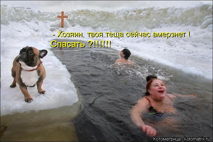 Котоматрица: - Хозяин, твоя теща сейчас вмерзнет ! Спасать ?!!!!!!