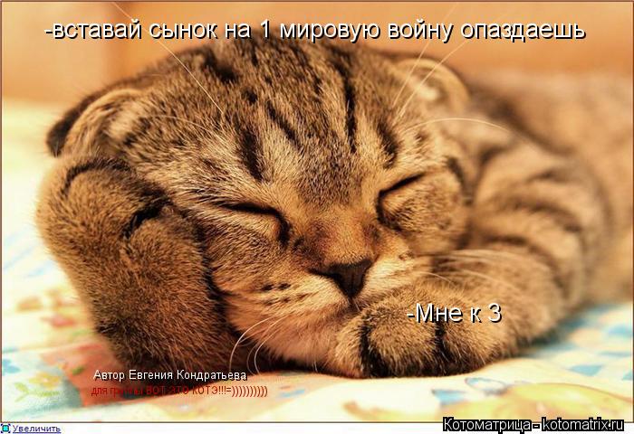 Котоматрица: -вставай сынок на 1 мировую войну опаздаешь -Мне к 3 Автор Евгения Кондратьева для группы ВОТ ЭТО КОТЭ!!!=))))))))))