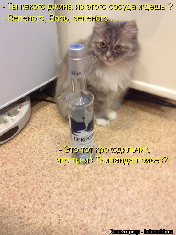 Котоматрица: - Ты какого джина из этого сосуда ждешь ? - Зеленого, Вась, зеленого.... - Это тот крокодильчик,  что ты из Таиланда привез?