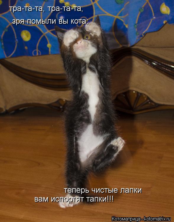 тра-та-та, тра-та-та, зря помыли вы кота: вам испортят тапки!!! теперь чистые лапки... Котоматрица: тра-та-та, тра-та-та, зря помыли вы кота: вам испортят тапки!!! теперь чистые лапки