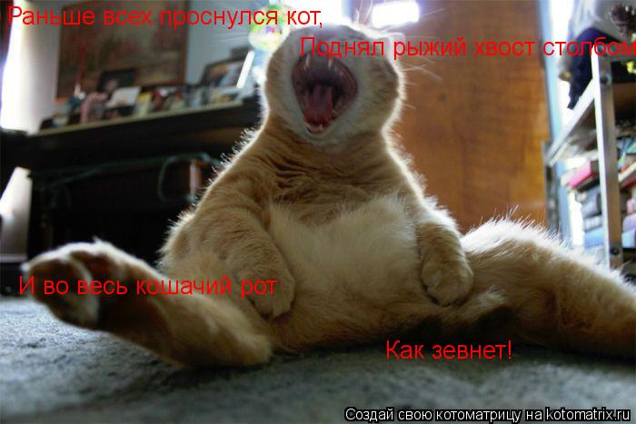 Раньше всех проснулся кот, Поднял рыжий хвост столбом, И во весь кошачий рот Как зевнет!... Котоматрица: Раньше всех проснулся кот, Поднял рыжий хвост столбом, И во весь кошачий рот Как зевнет!