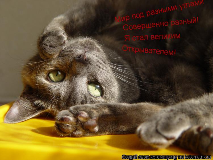 Мир под разными углами Совершенно разный! Я стал великим Открывателем!... Котоматрица: Мир под разными углами Совершенно разный! Я стал великим Открывателем!