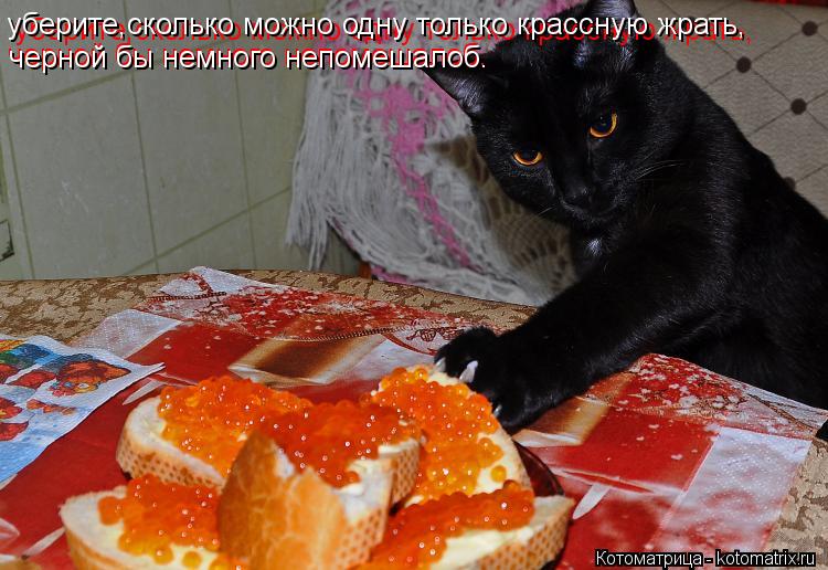 Котоматрица: уберите,сколько можно одну только крассную жрать, уберите,сколько можно одну только крассную жрать, черной бы немного непомешалоб. черной 