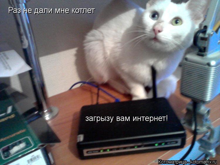 Котоматрица: Раз не дали мне котлет загрызу вам интернет!