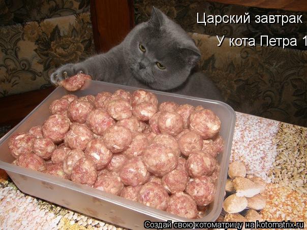 Царский завтрак У кота Петра 1... Котоматрица: Царский завтрак У кота Петра 1