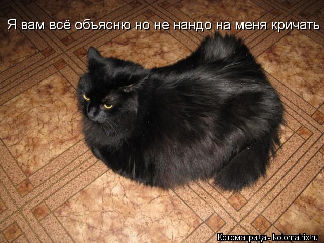 Я вам всё объясню но не нандо на меня кричать... Котоматрица: Я вам всё объясню но не нандо на меня кричать