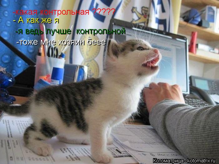 -какая контрольная ????? - А как же я -я ведь лучше контрольной -тоже мне хозяин беее... Котоматрица: -какая контрольная ????? - А как же я -я ведь лучше контрольной -тоже мне хозяин беее