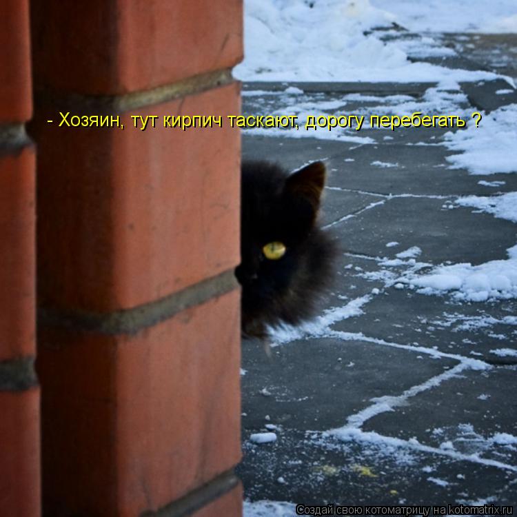 - Хозяин, тут кирпич таскают, дорогу перебегать ?... Котоматрица: - Хозяин, тут кирпич таскают, дорогу перебегать ?