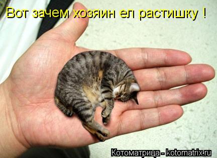 Вот зачем хозяин ел растишку !... Котоматрица: Вот зачем хозяин ел растишку !