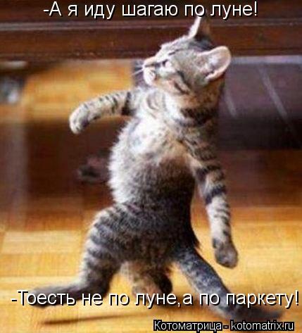 -А я иду шагаю по луне! -Тоесть не по луне,а по паркету!... Котоматрица: -А я иду шагаю по луне! -Тоесть не по луне,а по паркету!